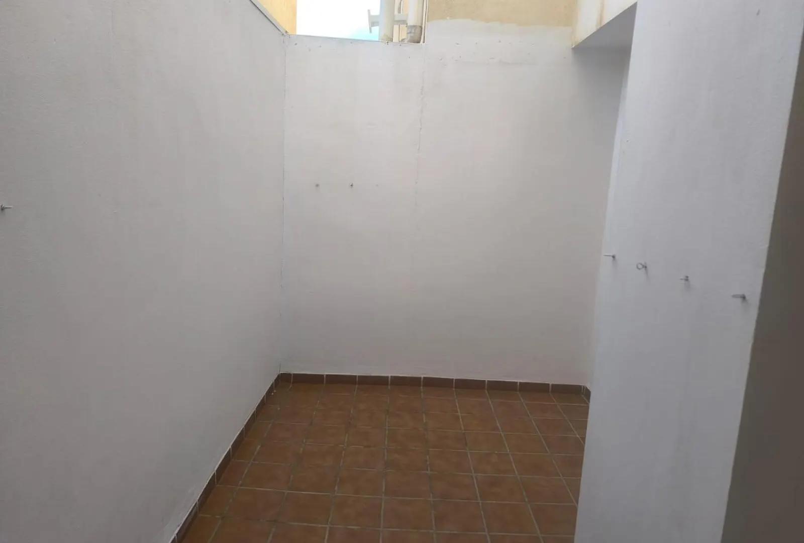 Vera Rambla